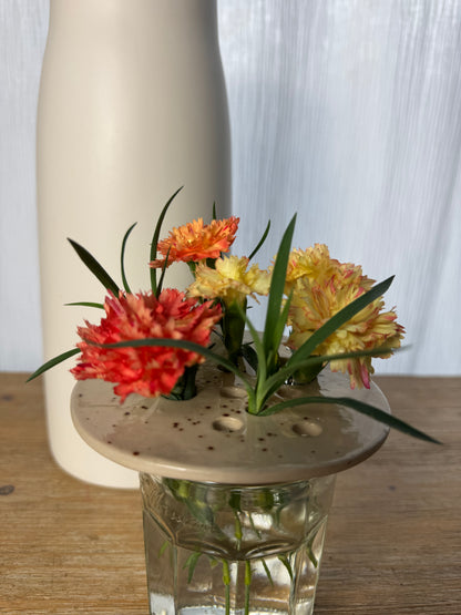 Plaque pour boutures