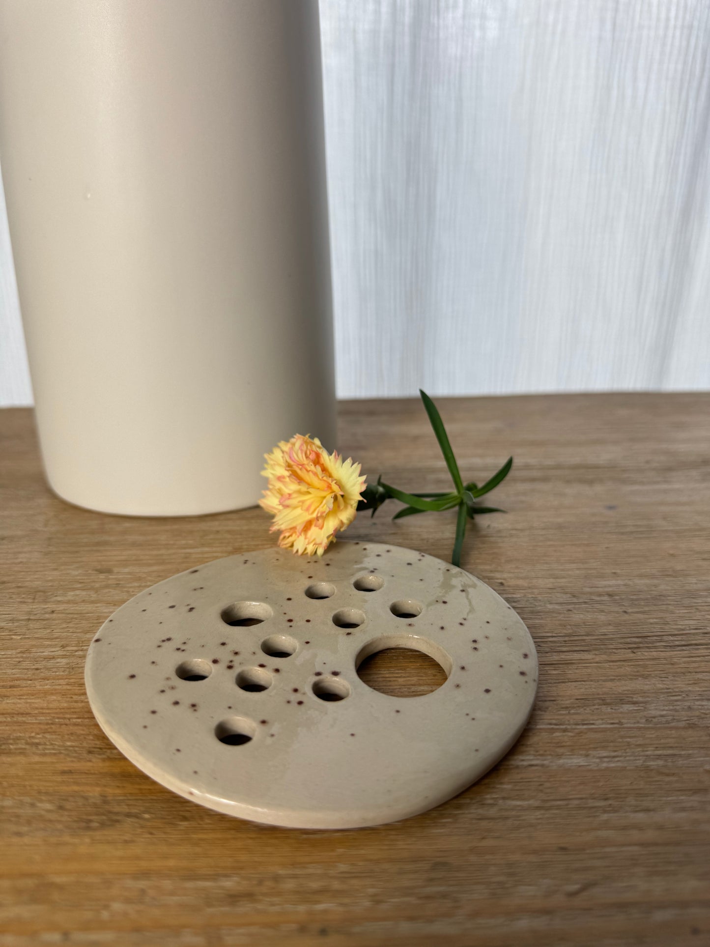 Plaque pour boutures