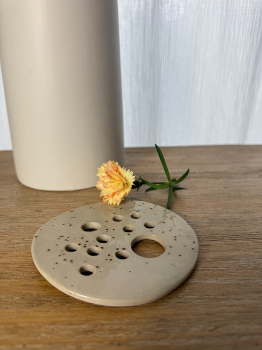 Plaque pour boutures